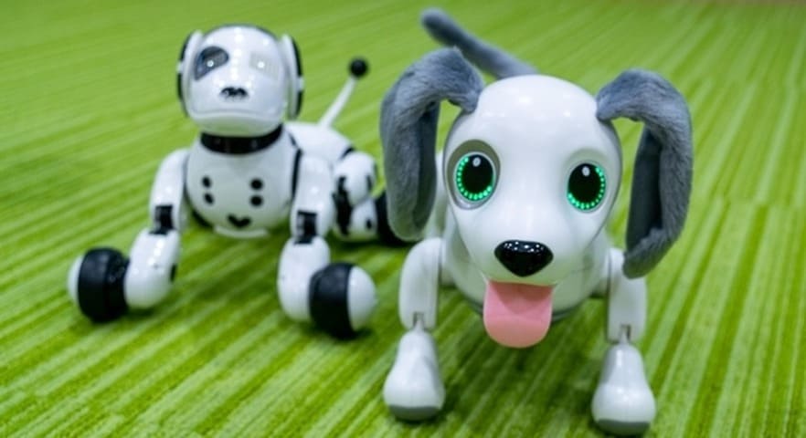 ハロー！ズーマーミニチュアダックス